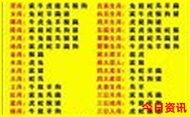 2025年新澳门开奖结果查询表